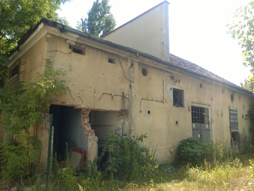 WP_20140722_16_02_39_Pro