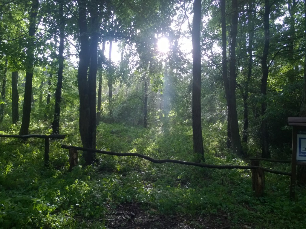 WP_20140804_18_10_35_Pro