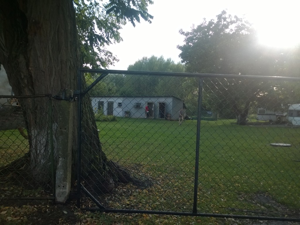 WP_20140804_18_30_16_Pro