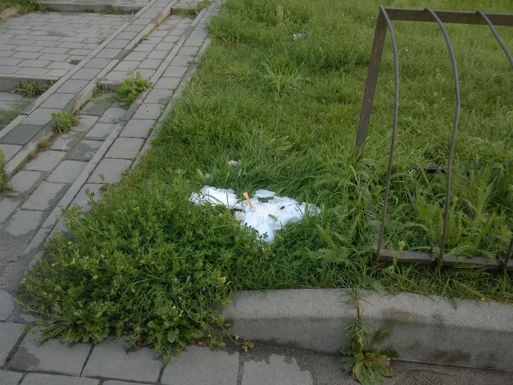 WP_20140804_19_54_14_Pro