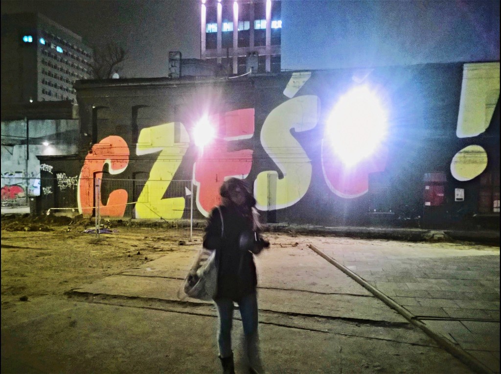 WP_20141128_00_50_57_Pro