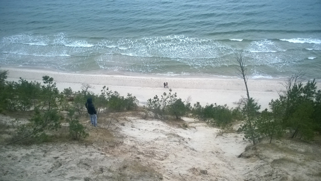 WP_20150125_16_19_34_Pro