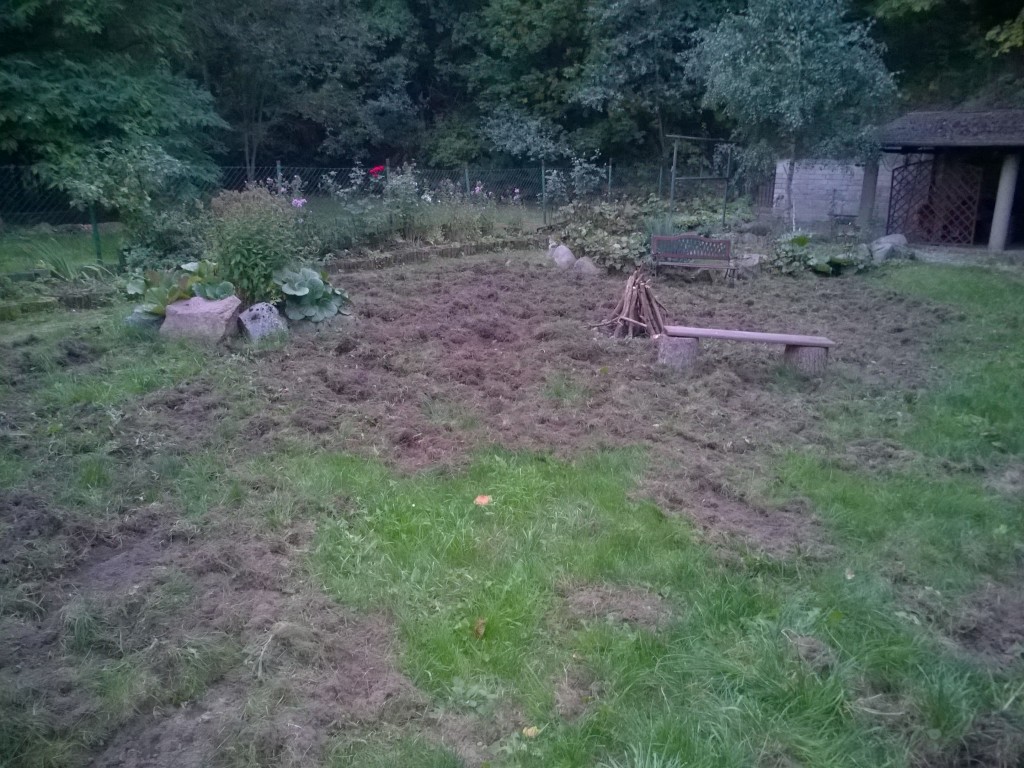 WP_20151004_18_40_22_Pro