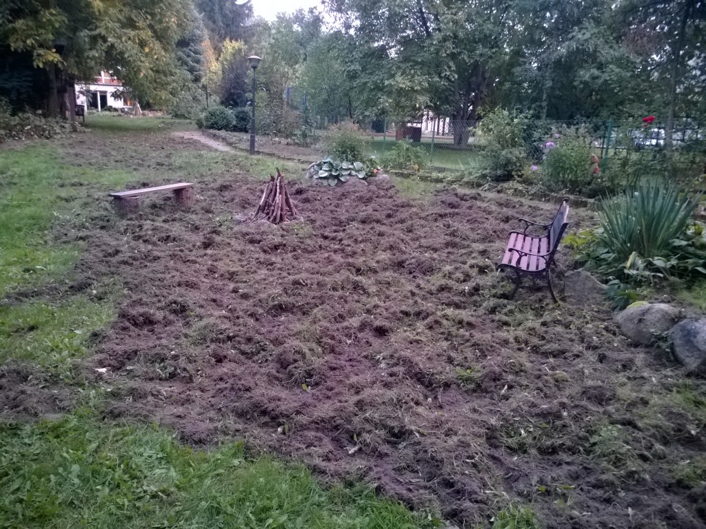 WP_20151004_18_40_52_Pro