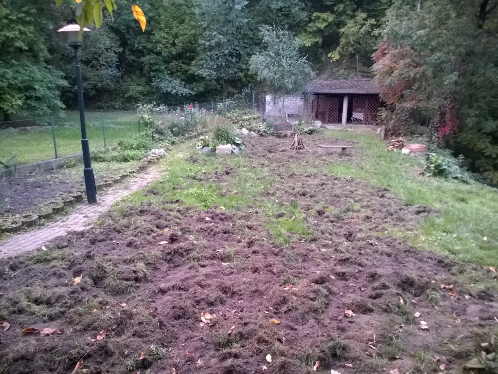 WP_20151004_18_41_22_Pro