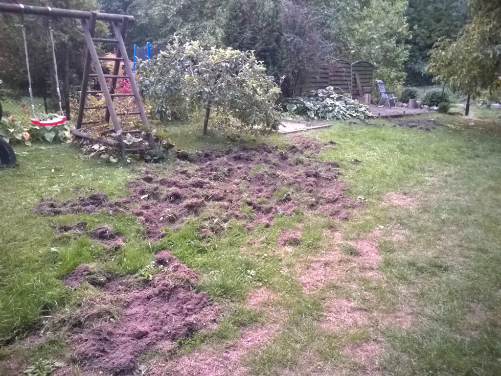 WP_20151004_18_41_42_Pro