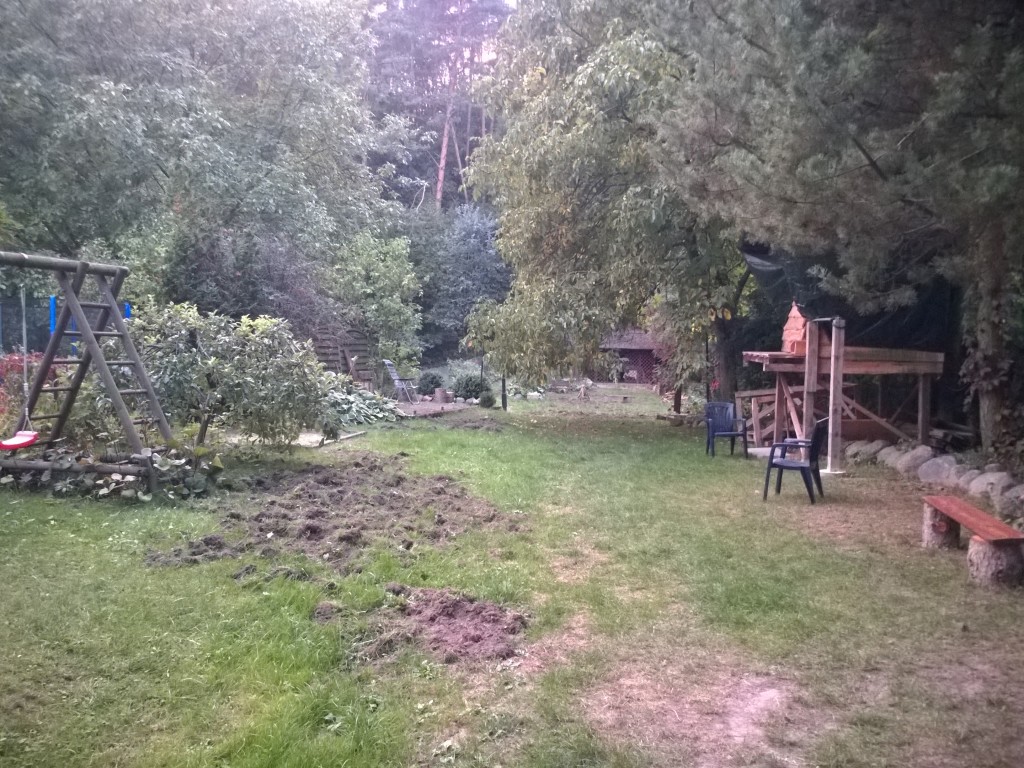 WP_20151004_18_41_54_Pro