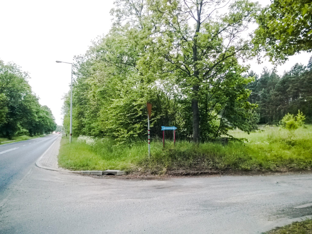 AdobePhotoshopExpress_0d650c28910c4b2a8bdfab37a5964d9b