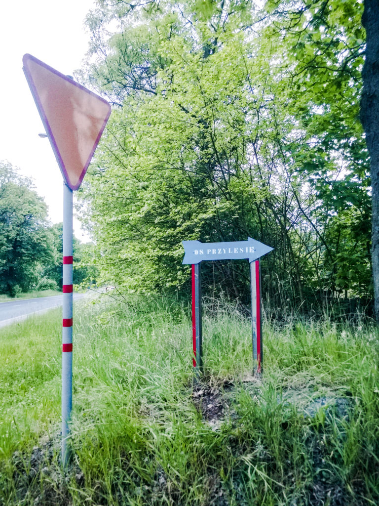 AdobePhotoshopExpress_9c8f4a39deca4c82a15e84d182afd38d