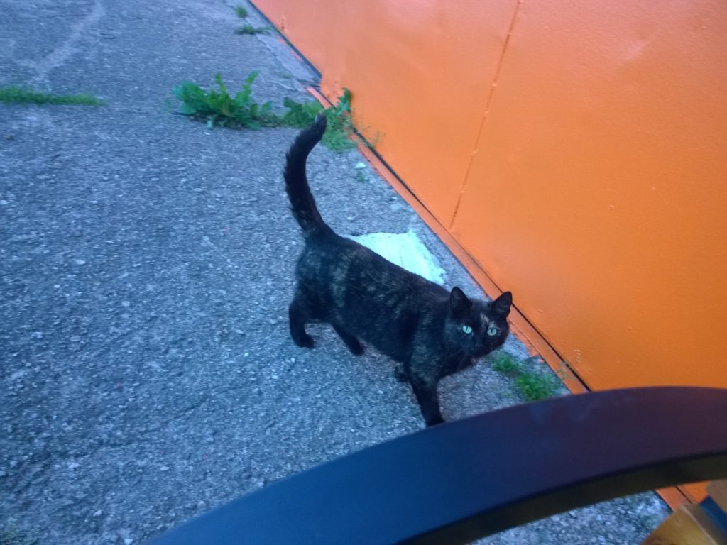 WP_20160605_20_48_48_Pro