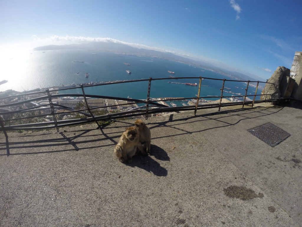 DCIM132GOPRO