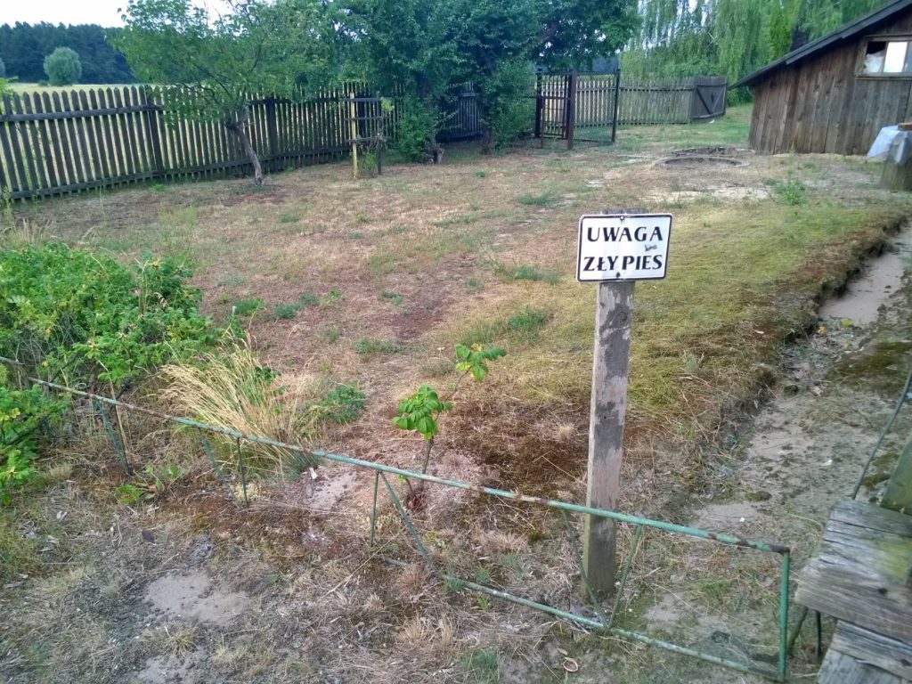 WP_20160627_18_39_53_Pro