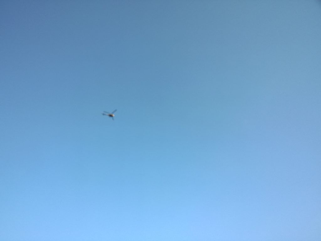 WP_20160628_19_18_46_Pro