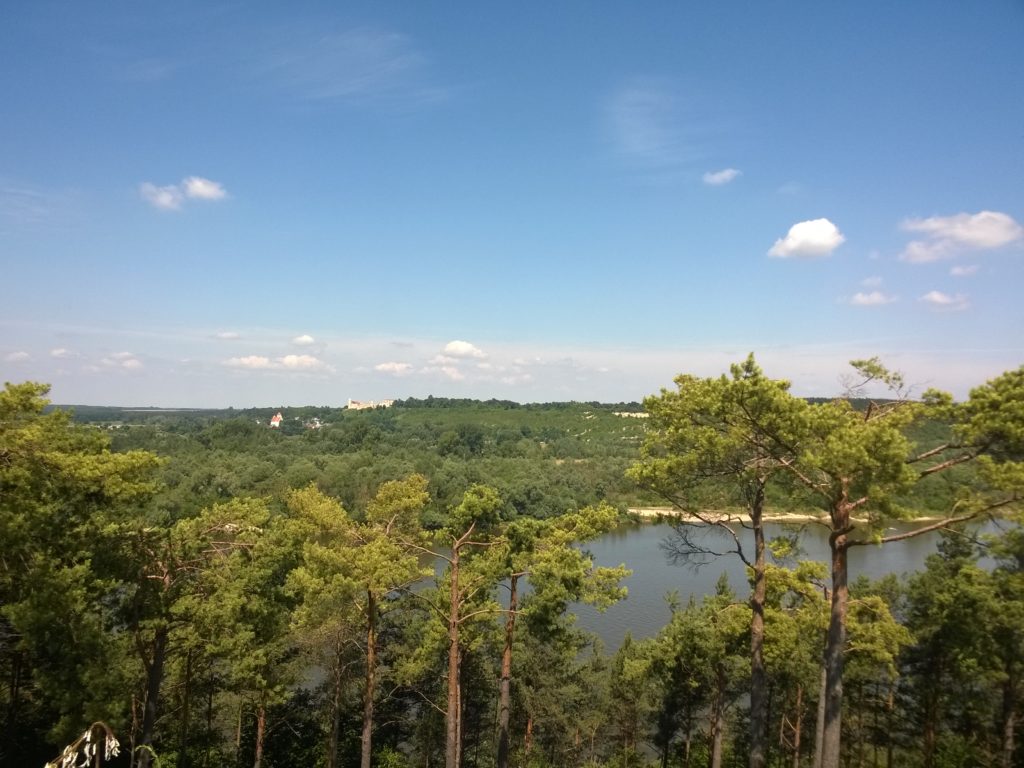 WP_20160629_11_06_10_Pro